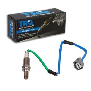 Oxygen (O2) Sensor